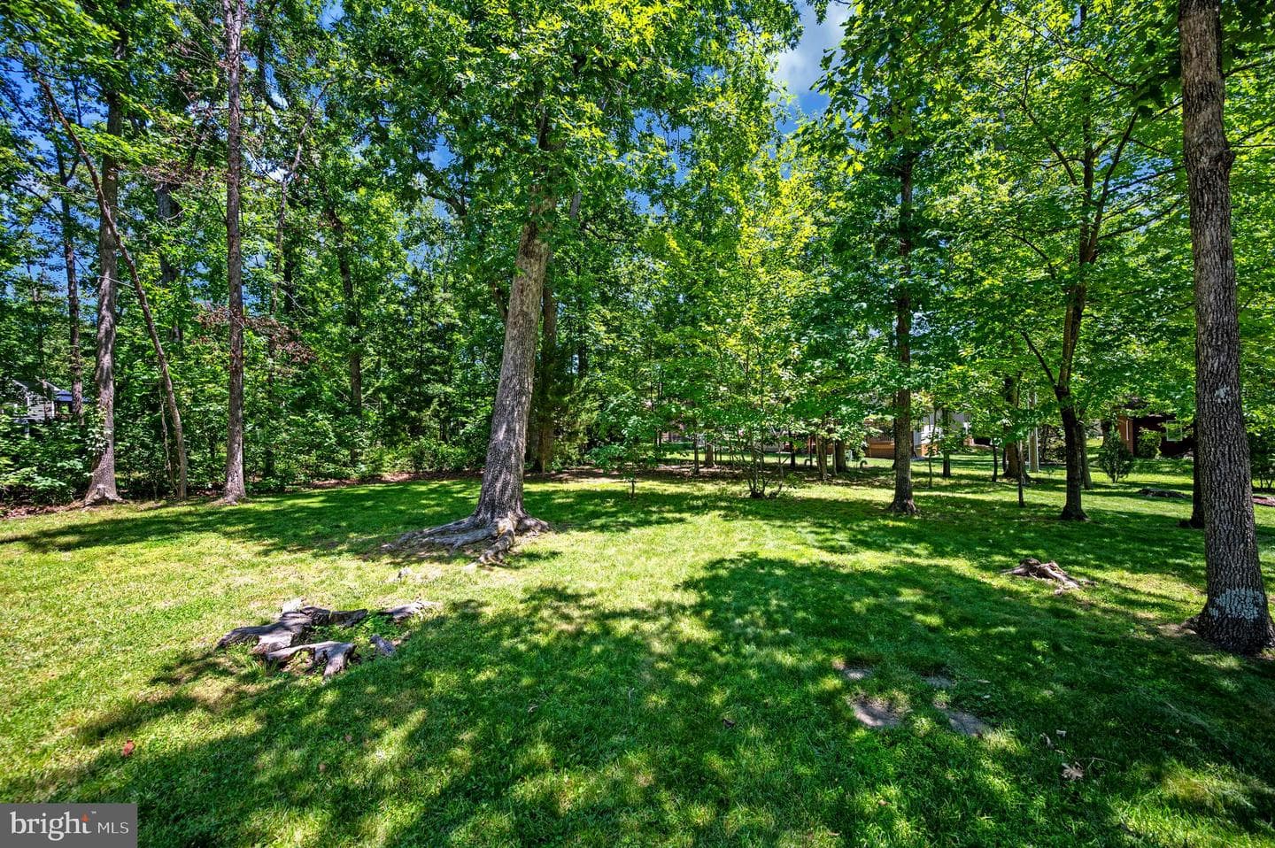 124 Republic Avenue photo 41