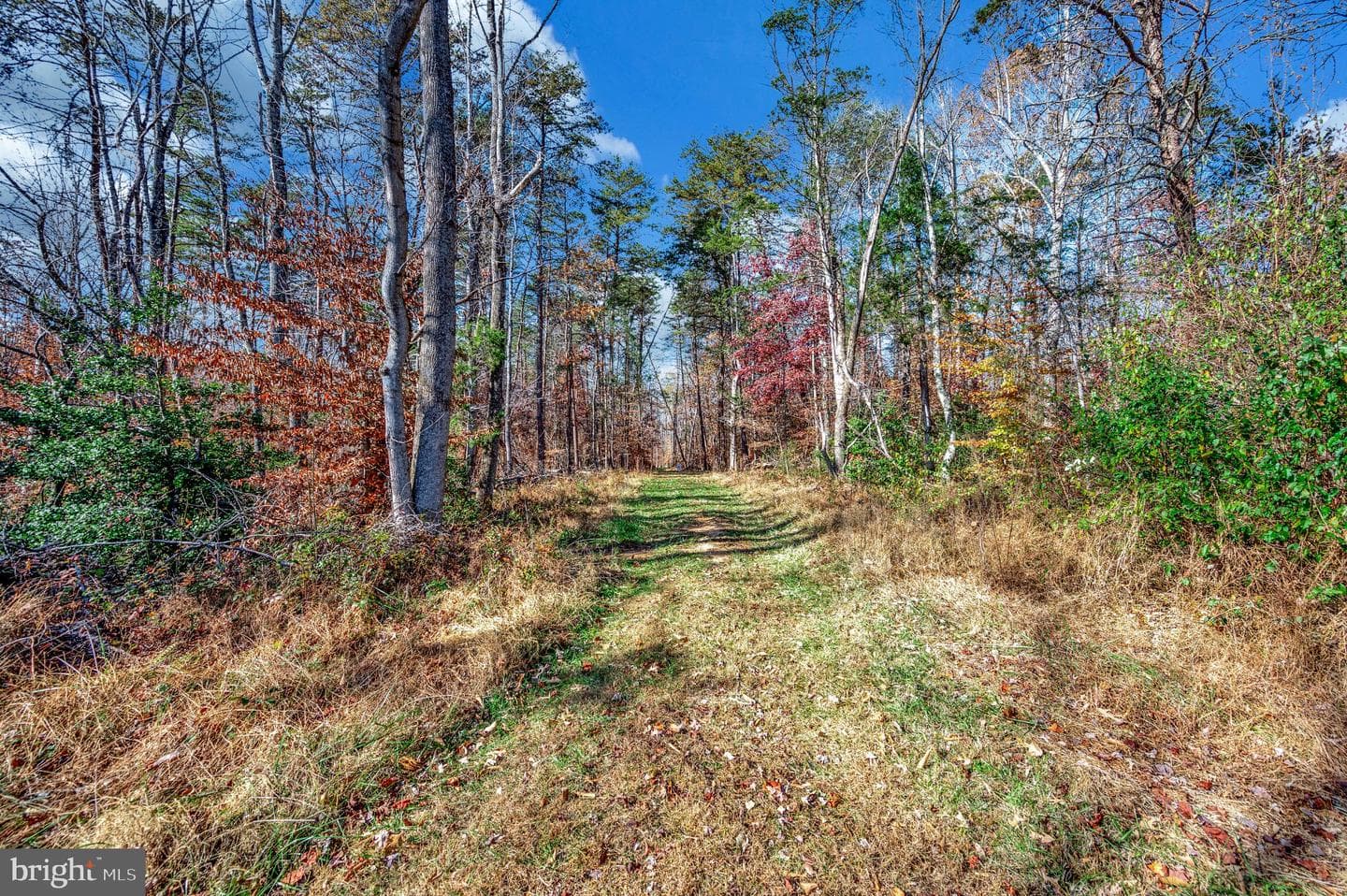 5120 Burr Hill Road photo 42