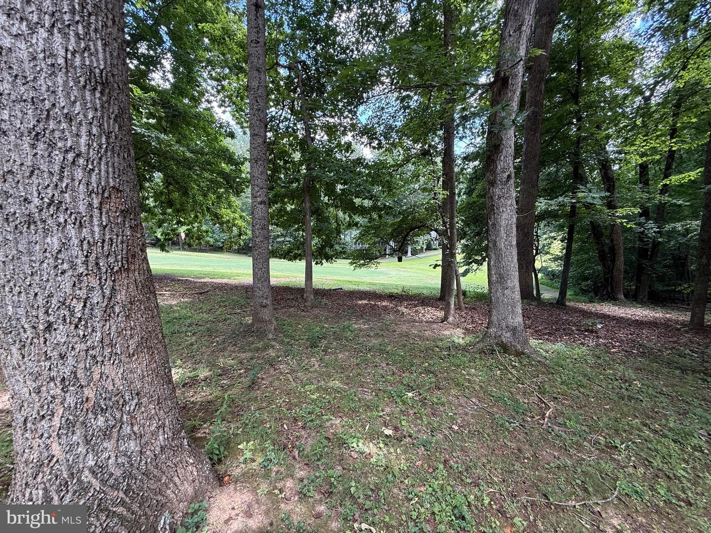 421 Birdie Road photo 57