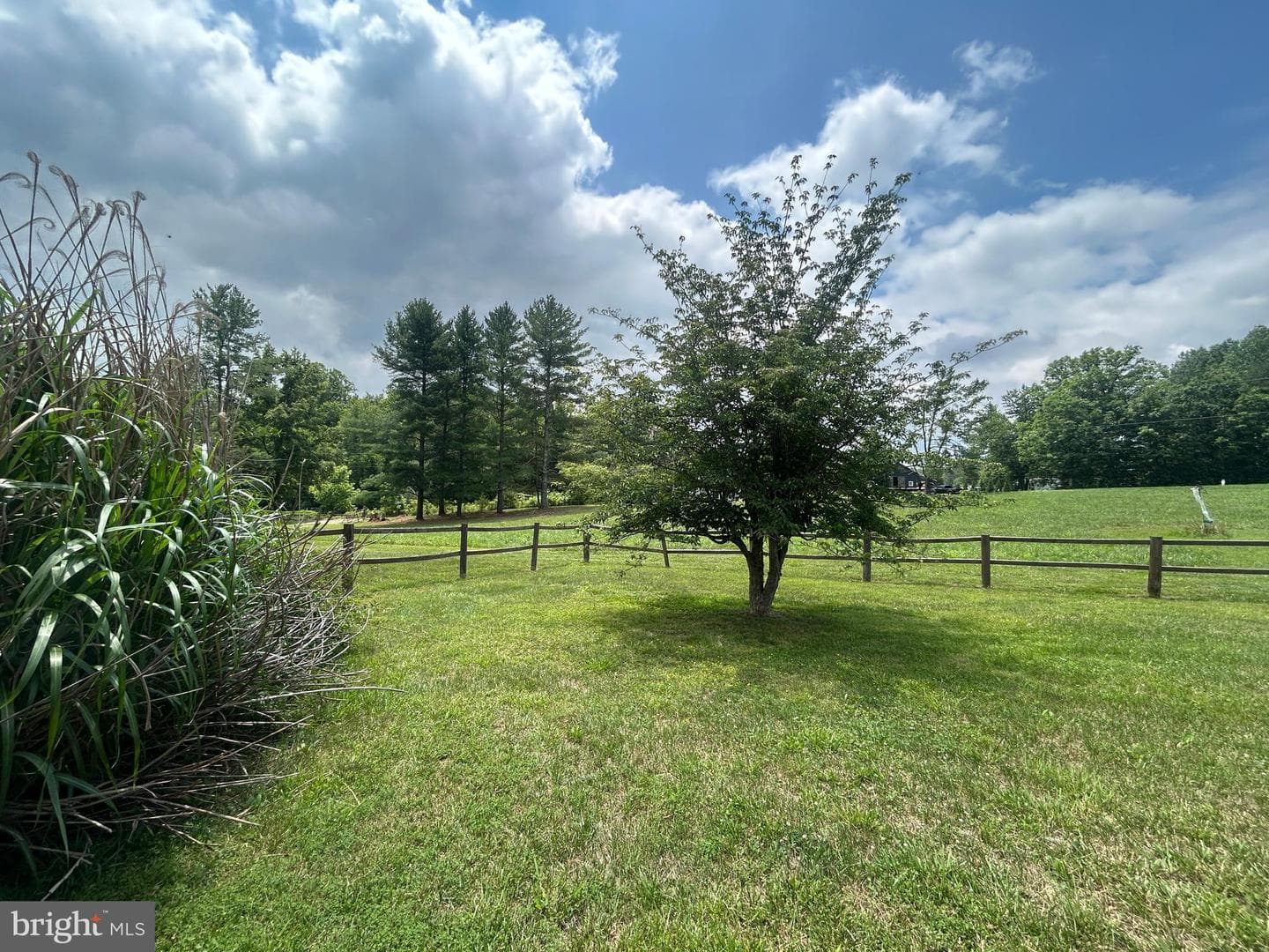 23221 Independence Road photo 32