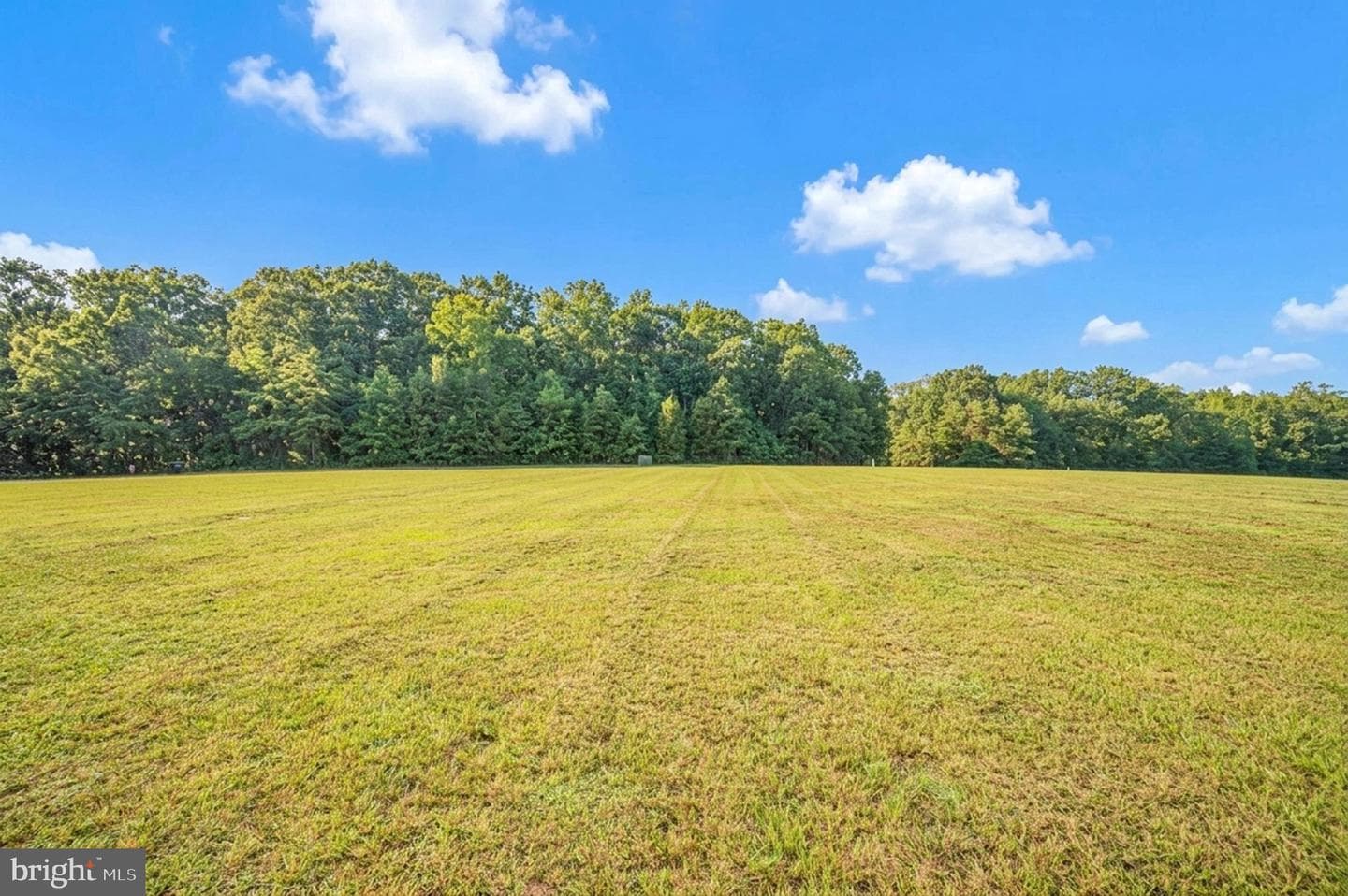 7295 Cornfield Lane photo 43