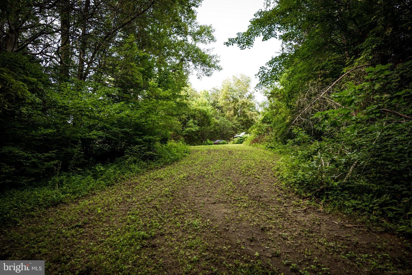 22144 Monrovia Road photo 83