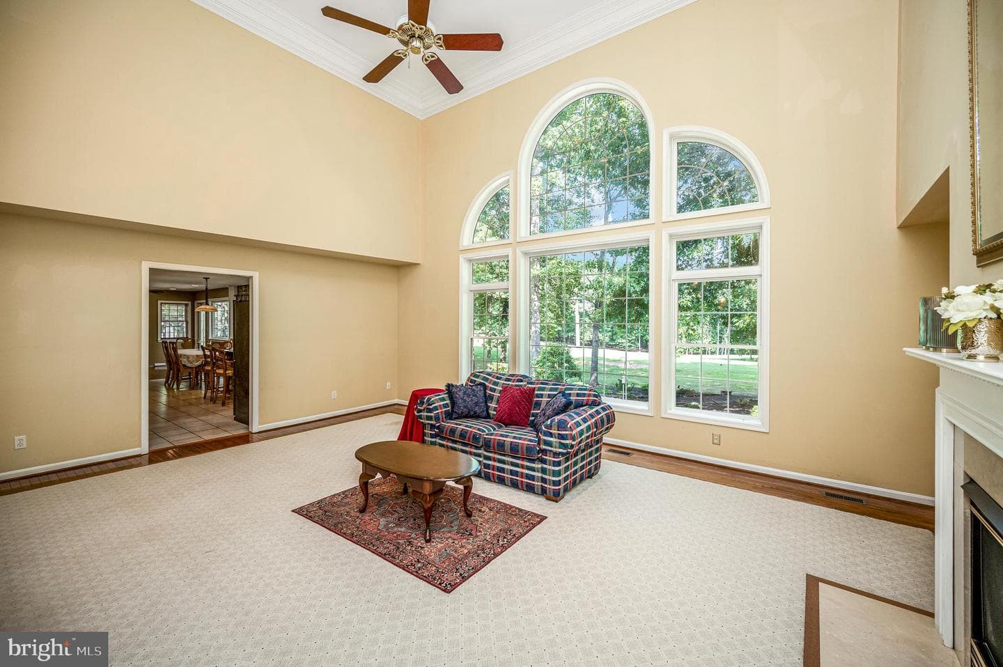 403 Gold Valley Road photo 14