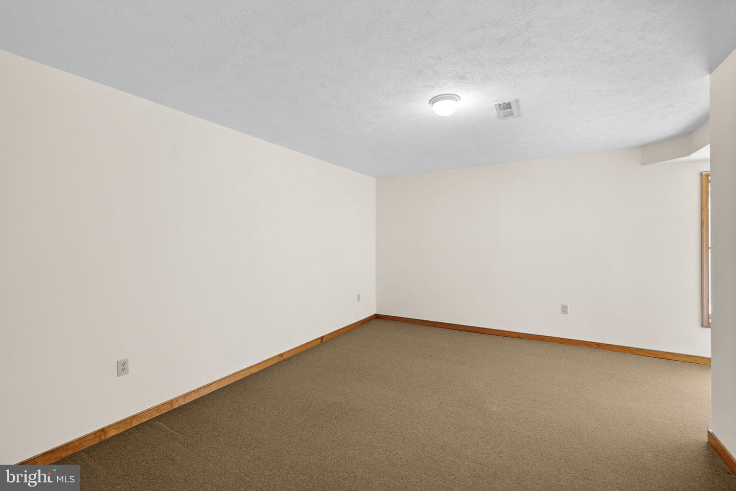 8350 Rapidan Hunt Lane photo 45