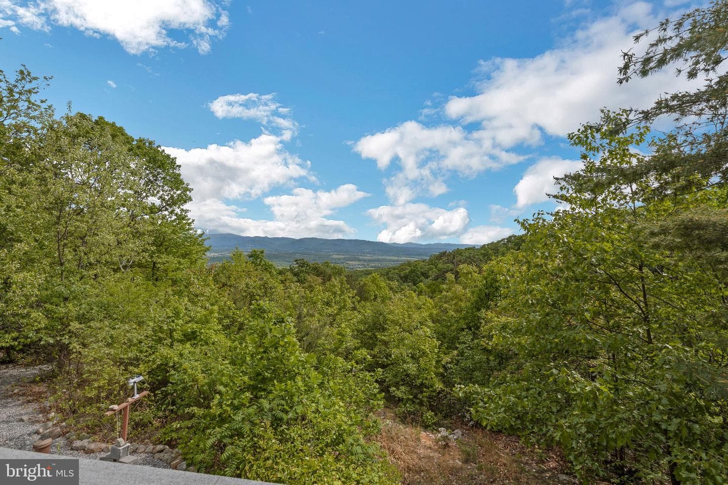 125 Deal Drive photo 13