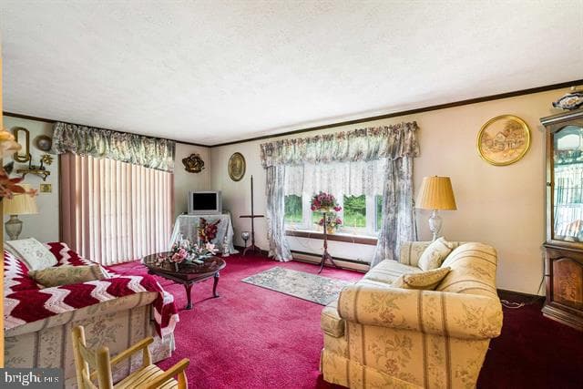 481 Eldon Yates Drive photo 20