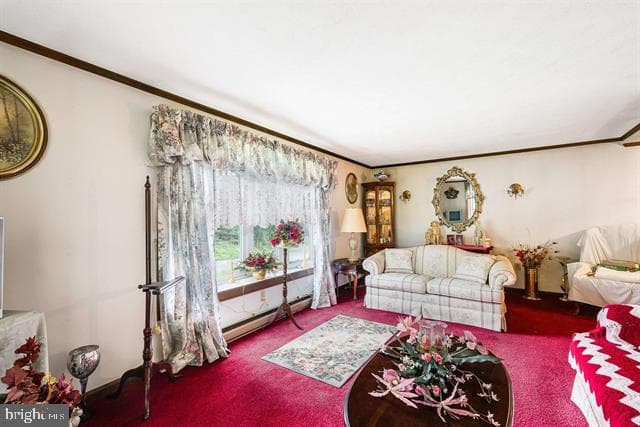 481 Eldon Yates Drive photo 22