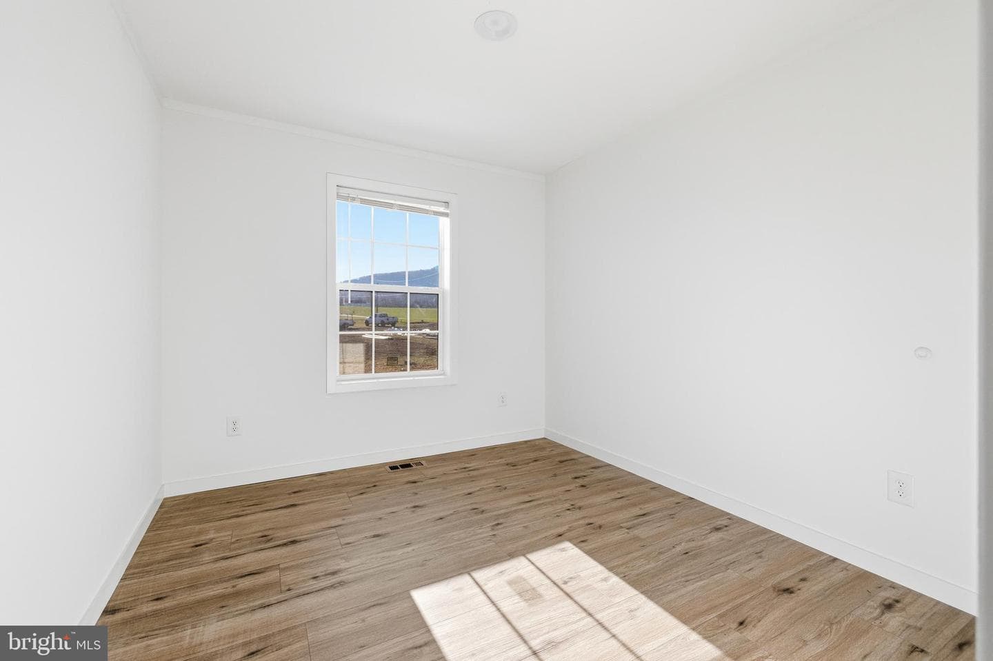 355 Park Road photo 35