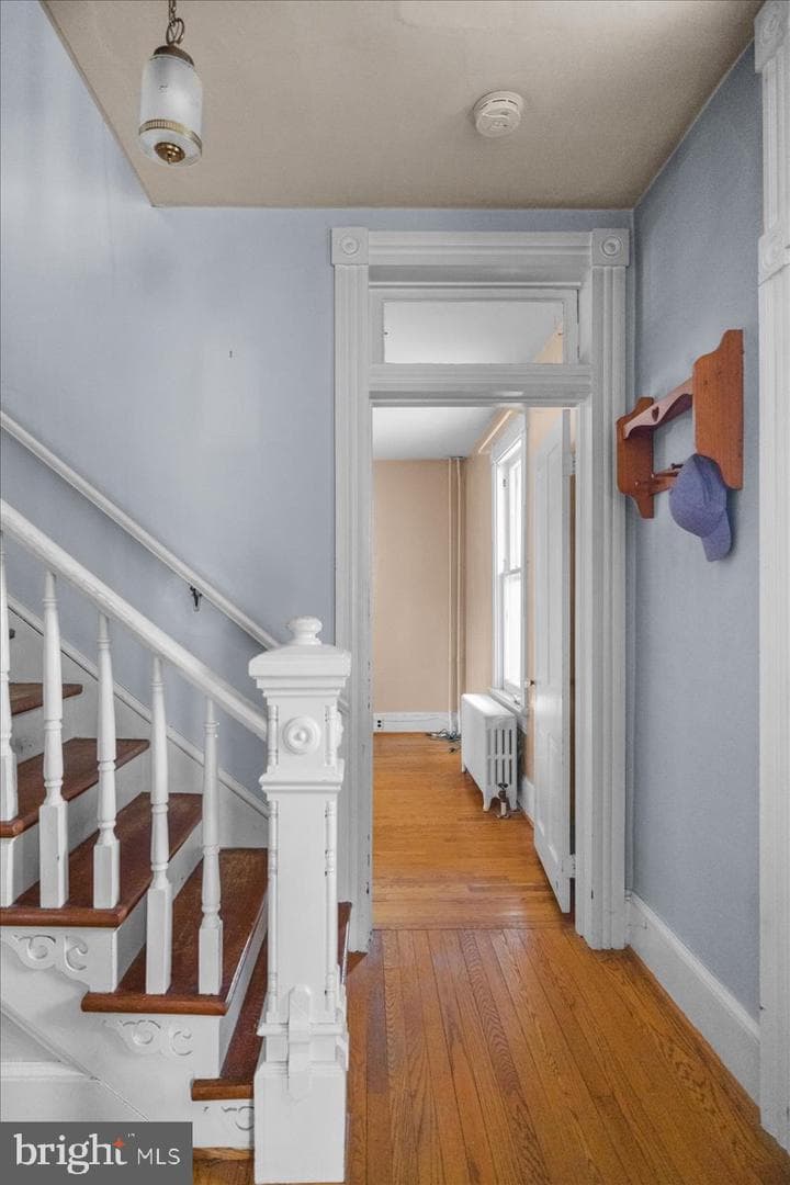 40 Cave Street photo 29