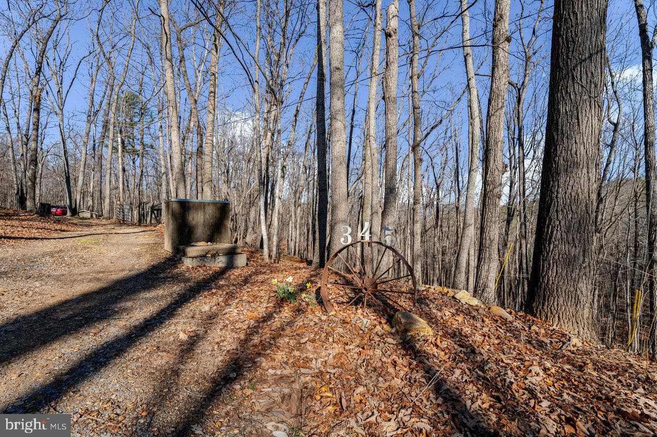 345 Wildwood Lane photo 24