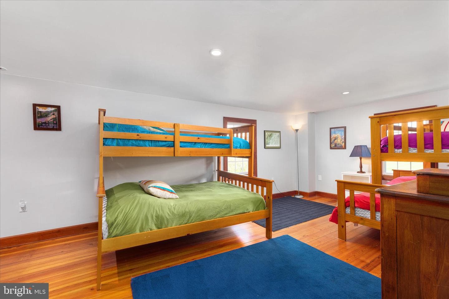 315 Ganders Drive photo 29