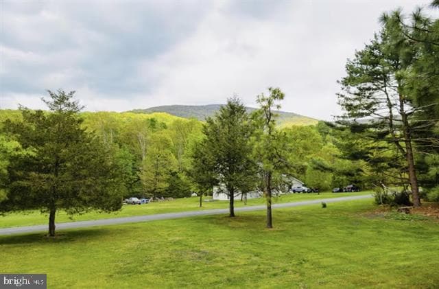 4064 Pine Grove Road photo 6
