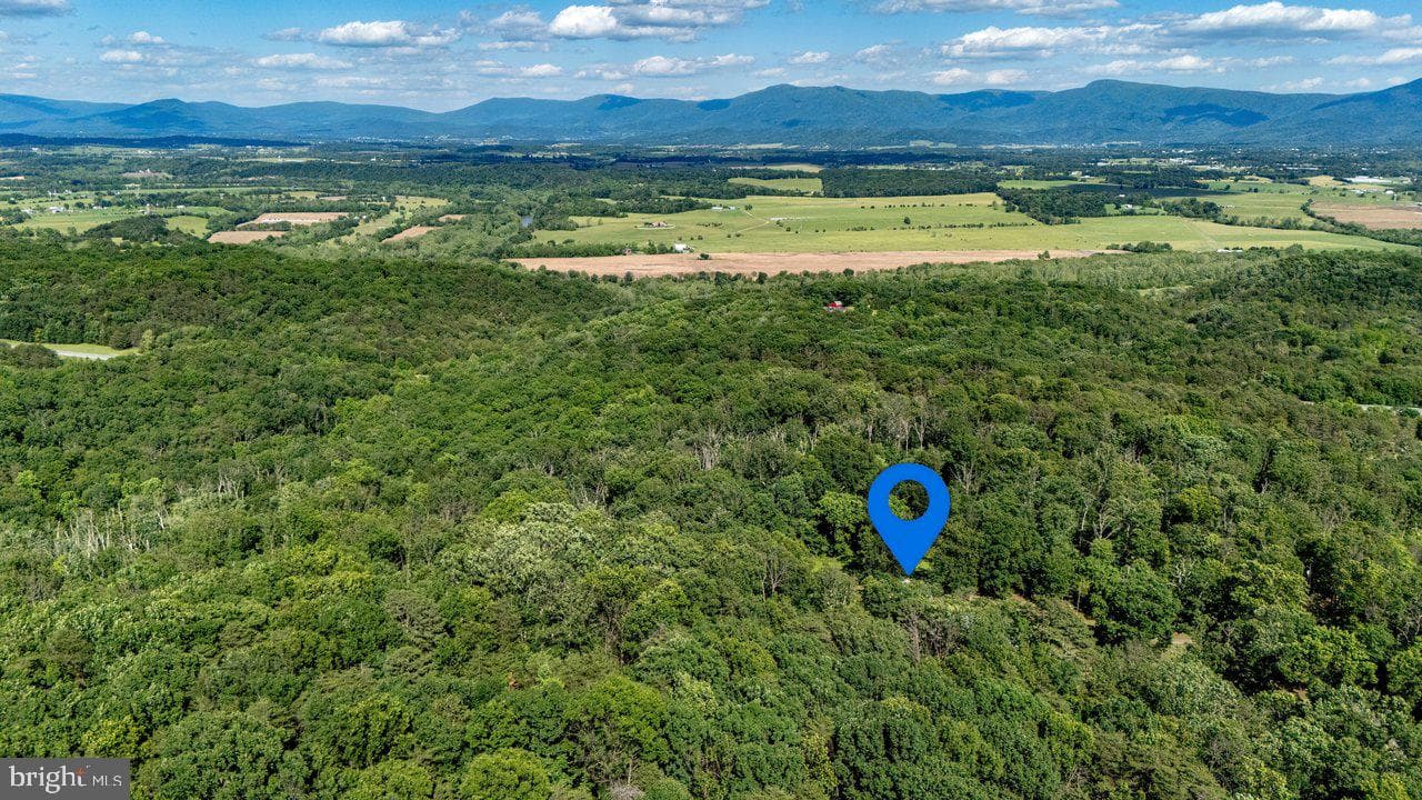 2040 Panorama View Drive photo 68