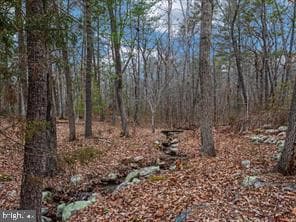 184 Whippoorwill Lane photo 8