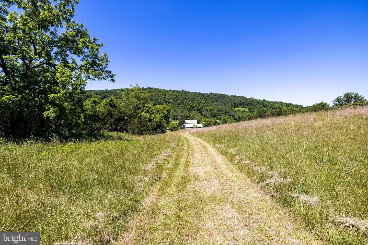 3259 Ida Road photo 125