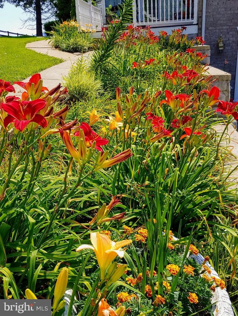 100 Cottage Drive photo 31