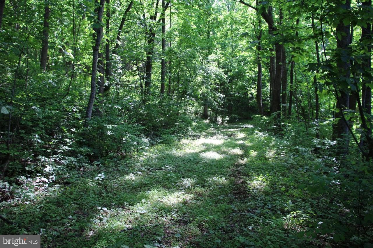 897 Helms Road photo 43
