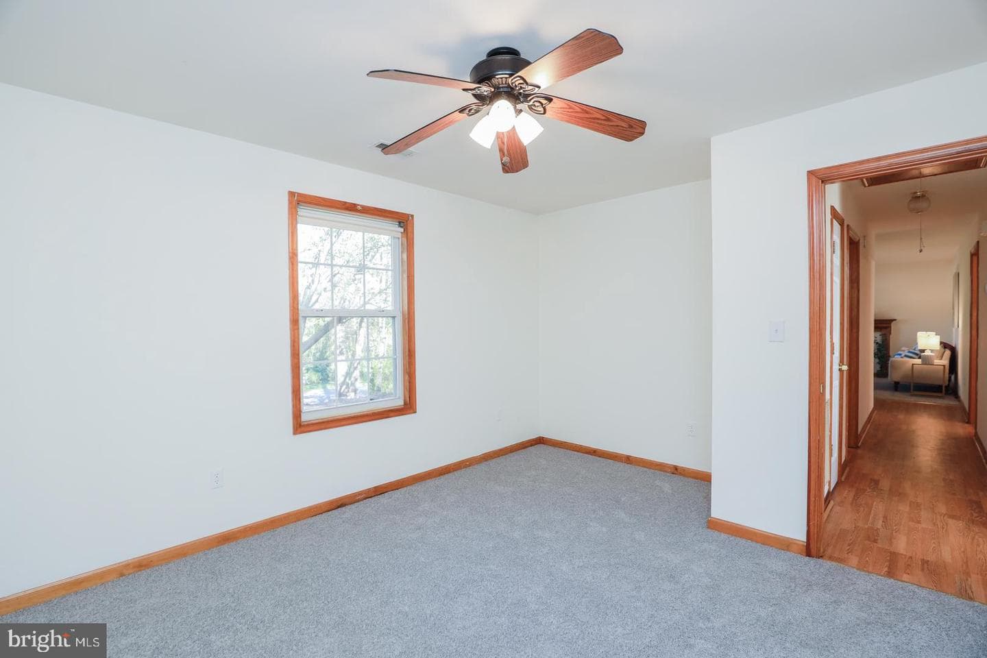 202 N Park Drive photo 17