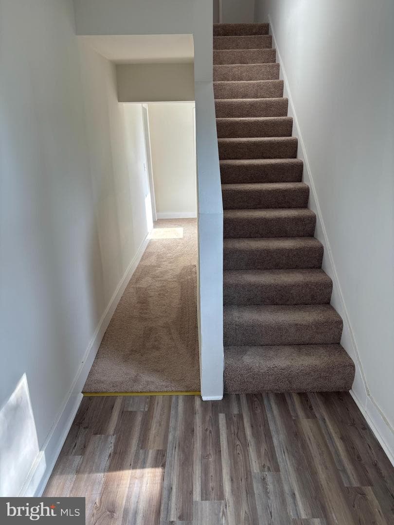 536 St Mark Street photo 7
