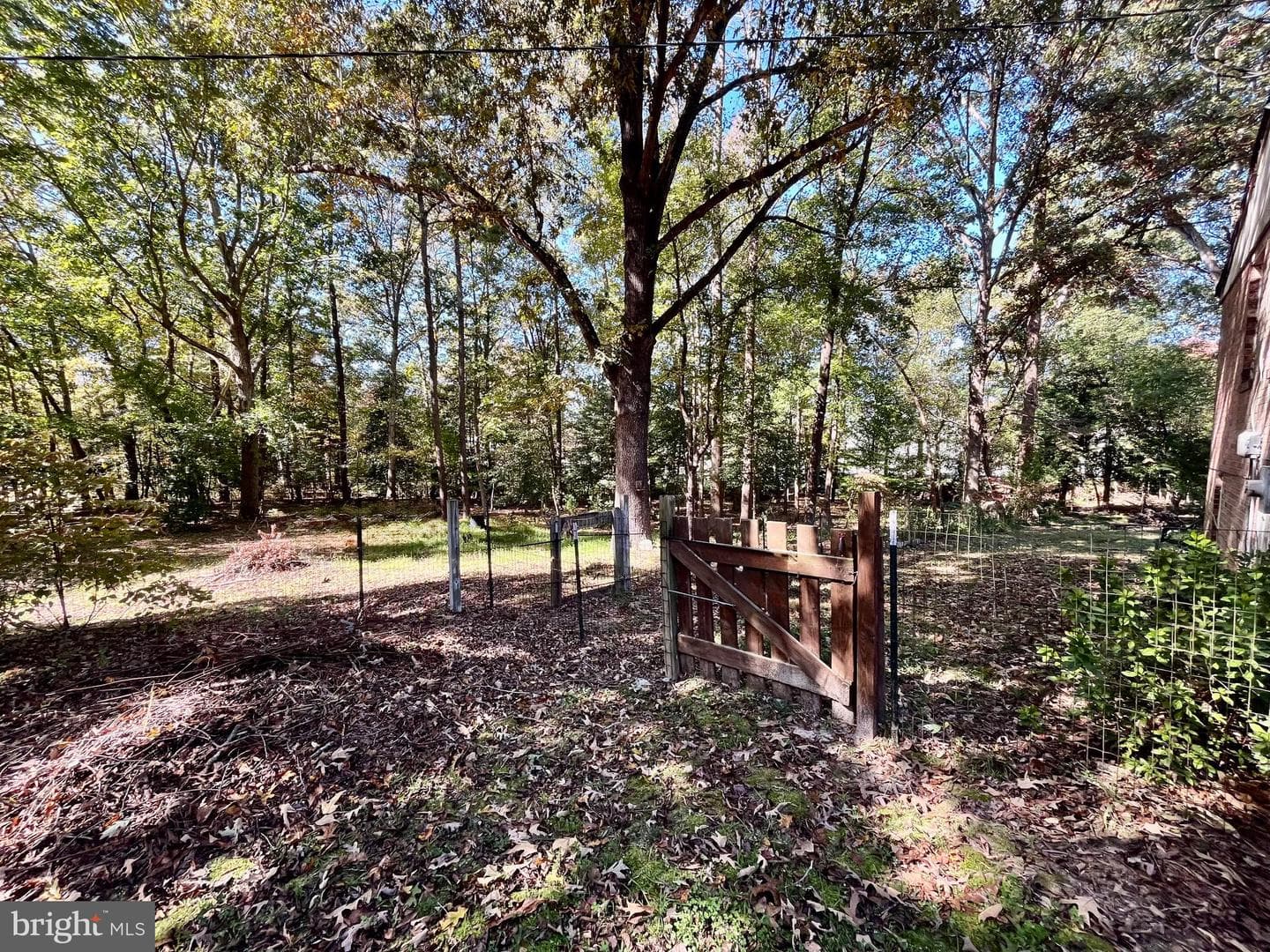 4302 Baxter Road photo 22