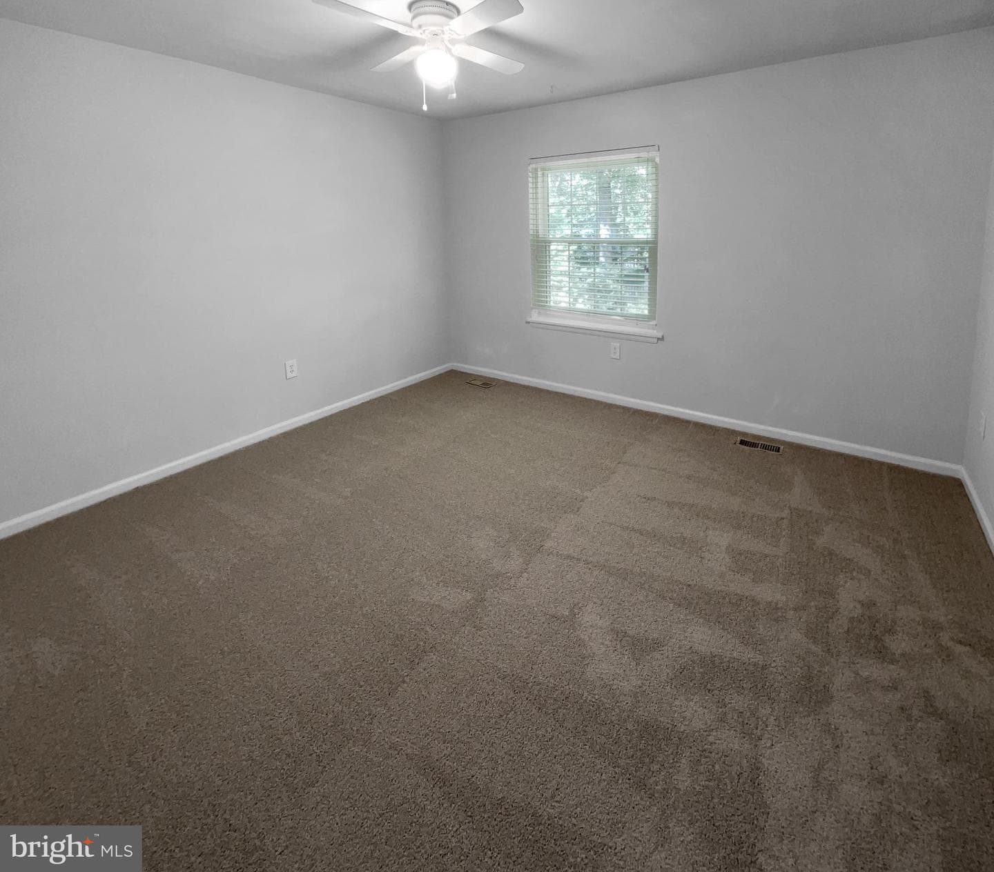 4006 Buckingham Court photo 18