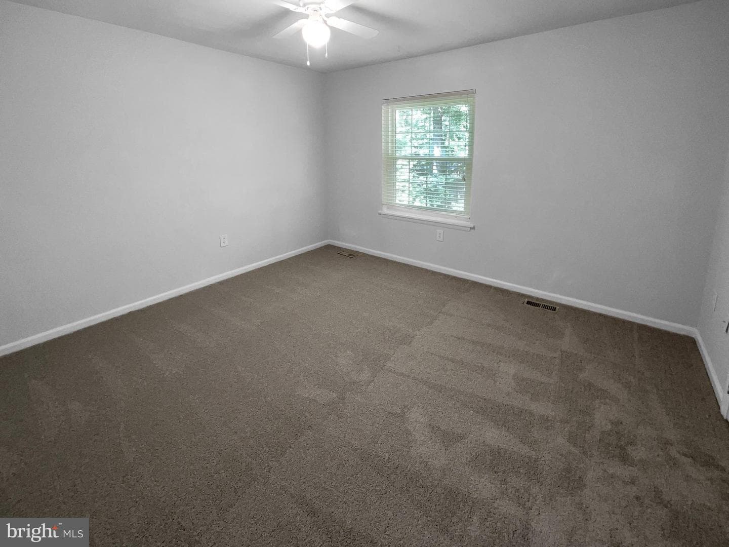 4006 Buckingham Court photo 20