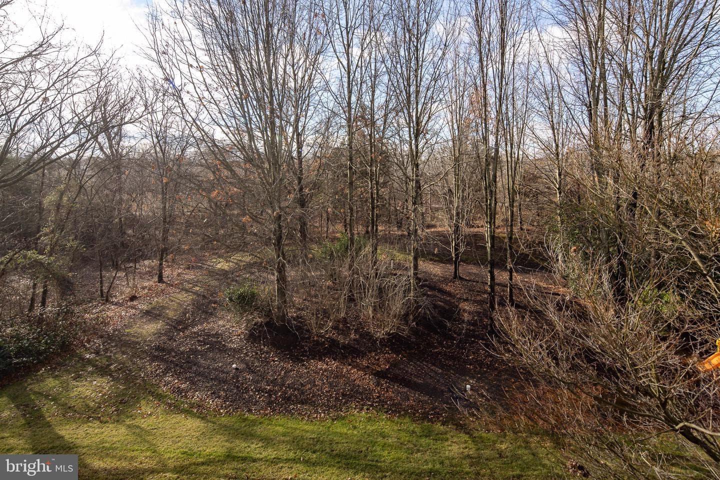 14247 Legend Glen Court photo 35