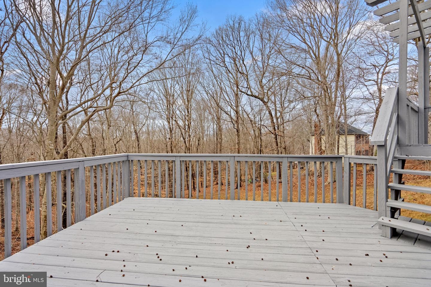 4923 Wolf Run Shoals Road photo 54