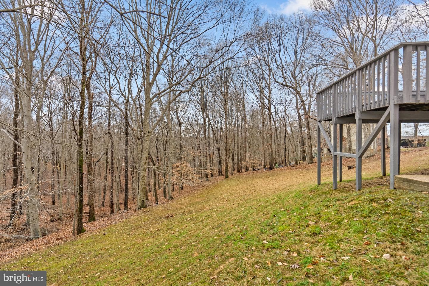 4923 Wolf Run Shoals Road photo 56