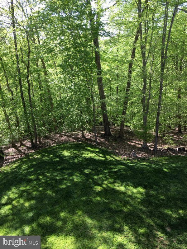 6930 Stethem Court photo 50