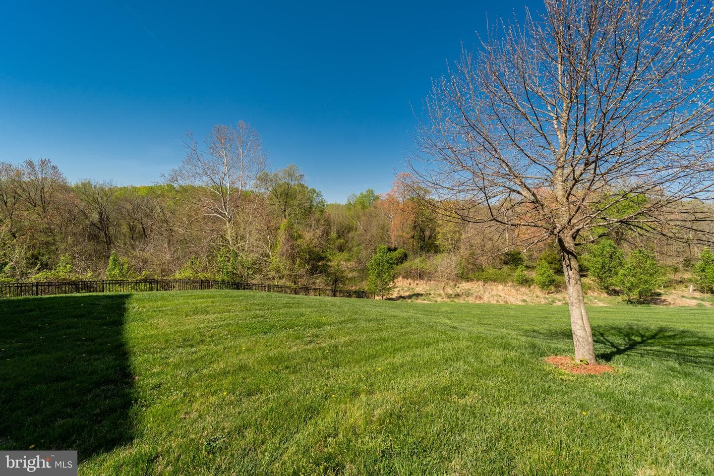 15487 Ann Arden Avenue photo 29