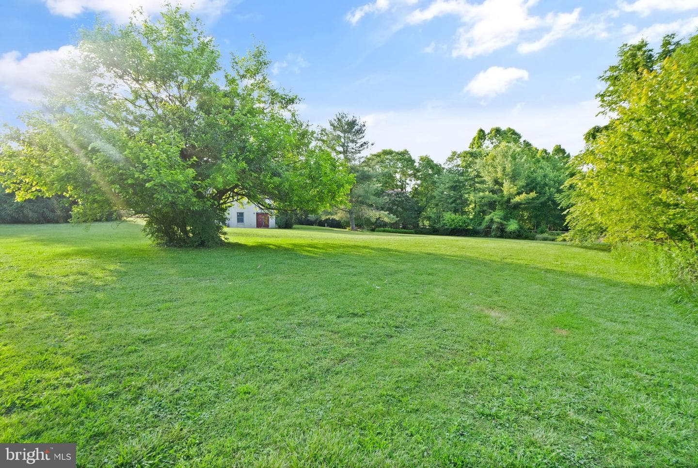 7900 Guy Drive photo 65