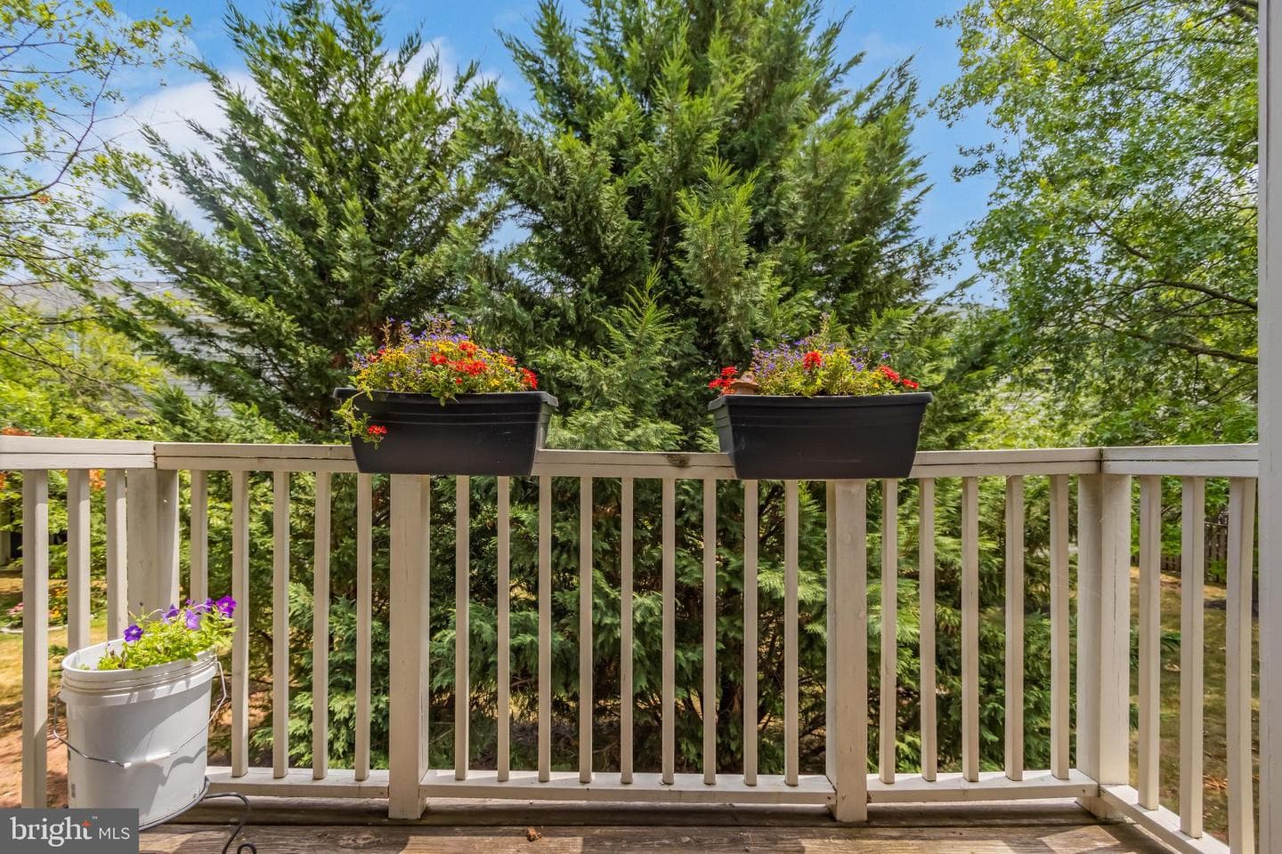 11197 Rienzi Place #203 photo 21