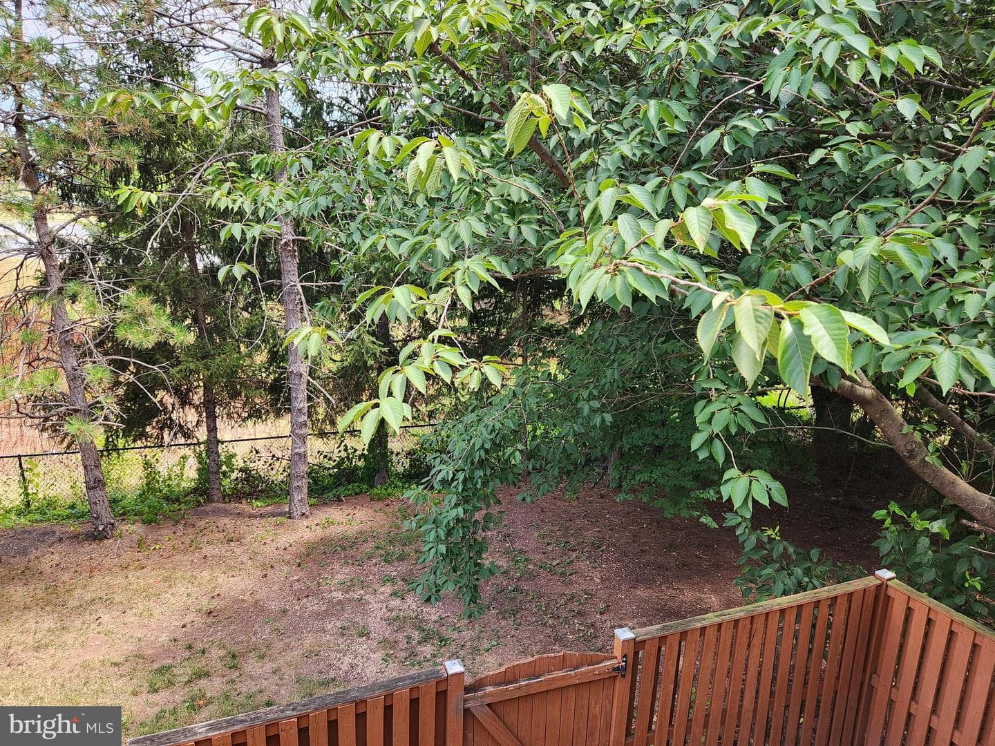 10544 Falkirk Way photo 29