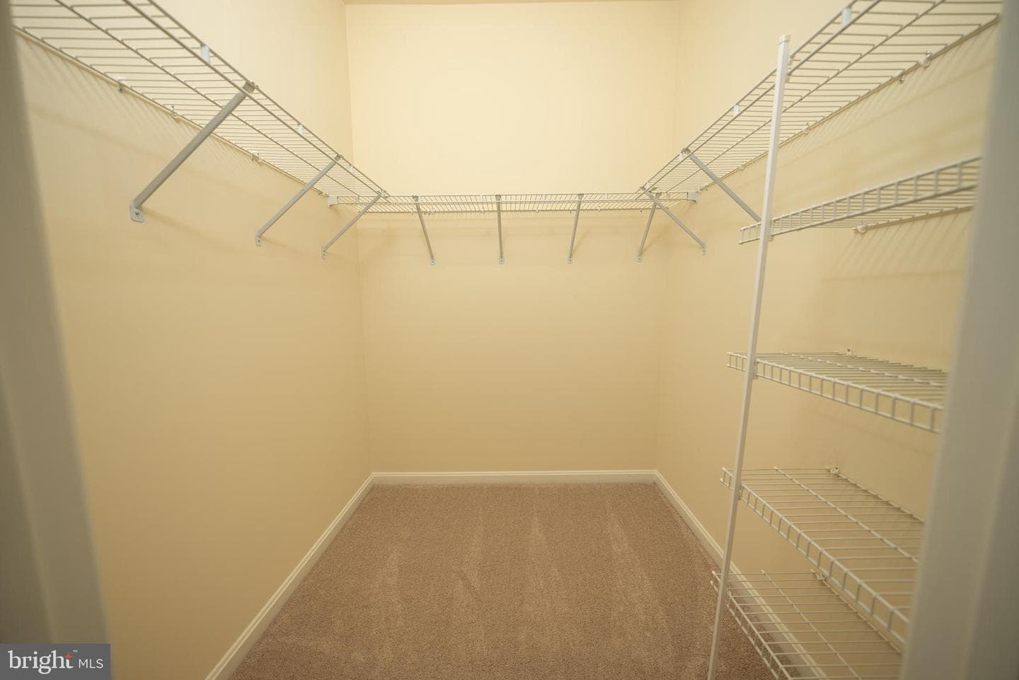 13112 Ormond Drive photo 12