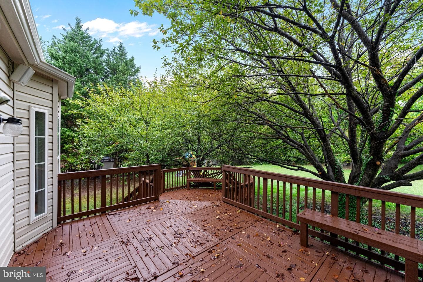 5254 Quebec Place photo 38