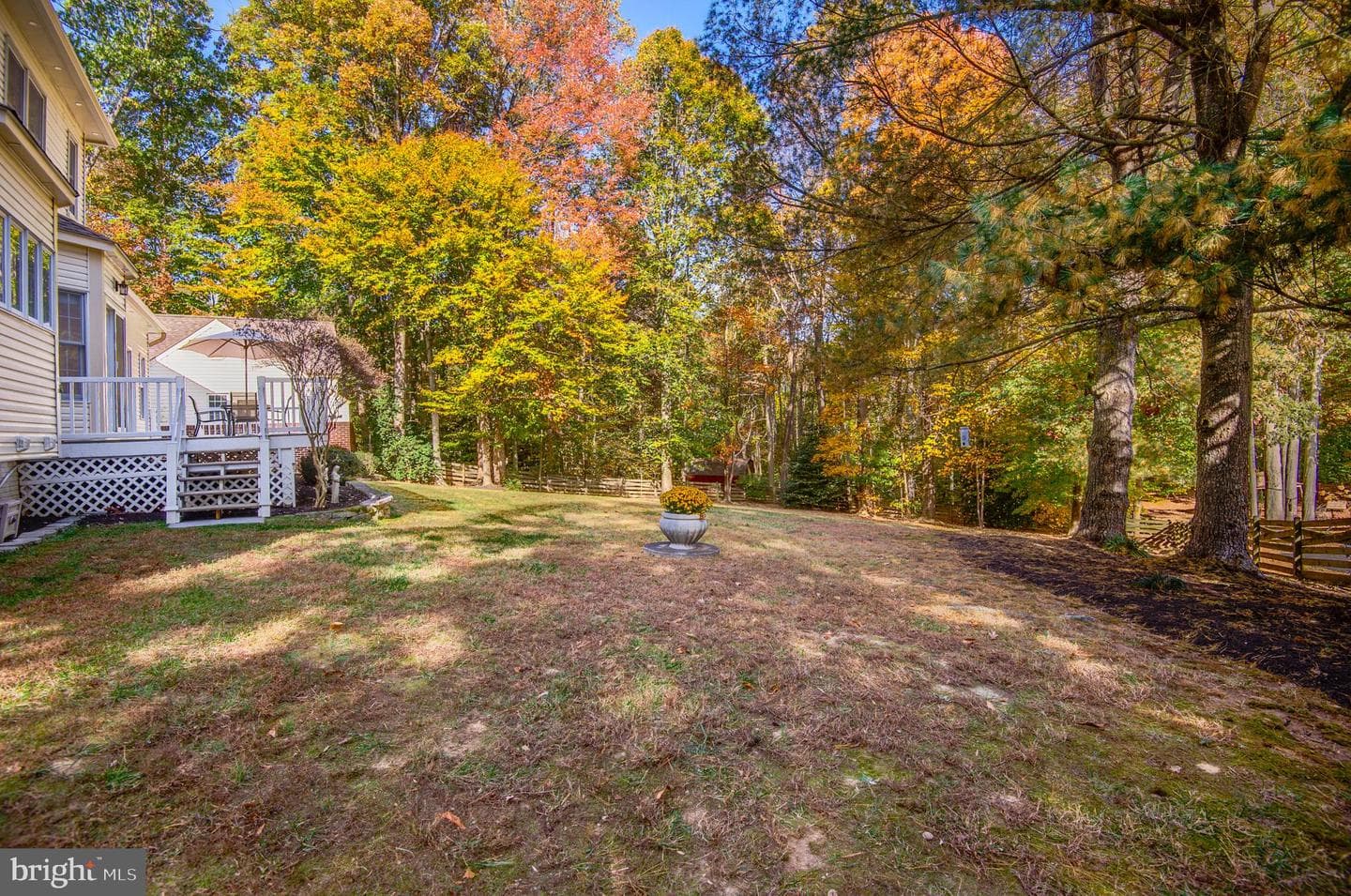10331 Bear Creek Drive photo 58