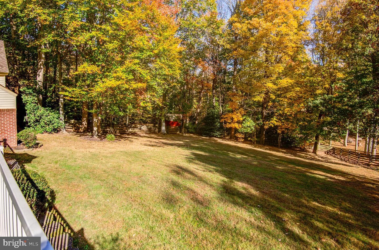 10331 Bear Creek Drive photo 60