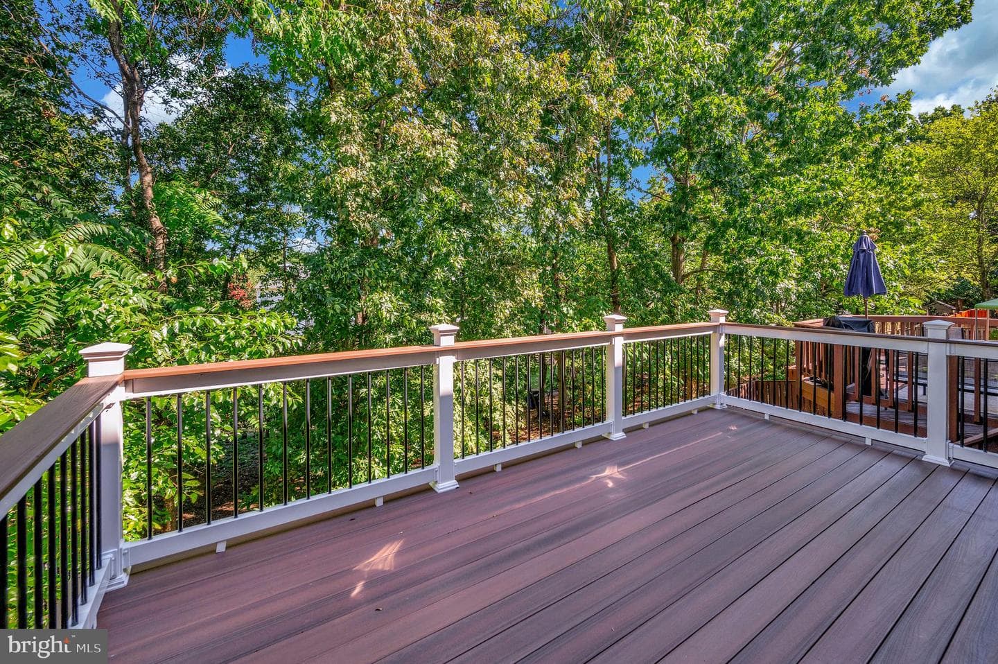14487 Whisperwood Court photo 35