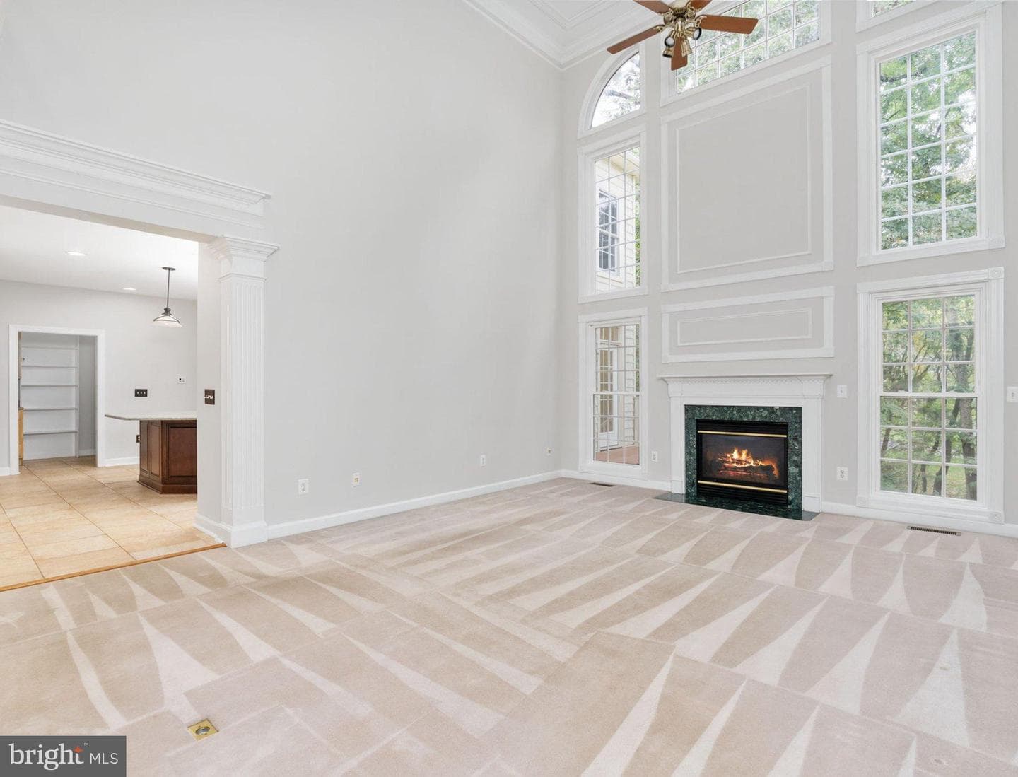 10028 Island Fog Court photo 24