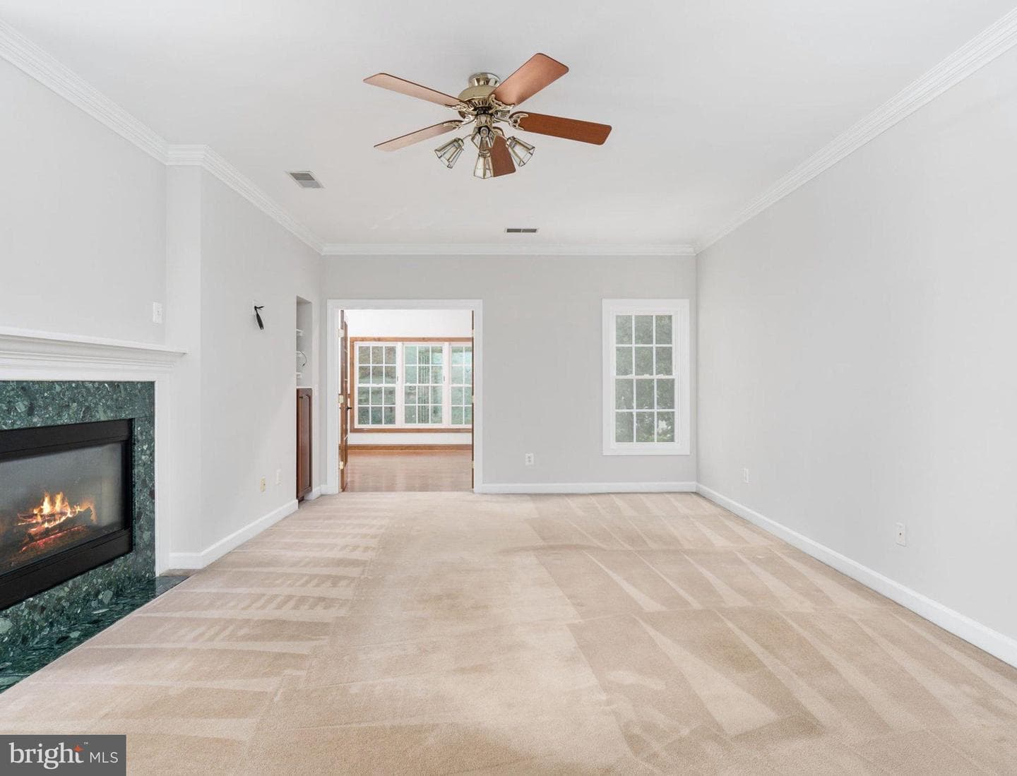 10028 Island Fog Court photo 51