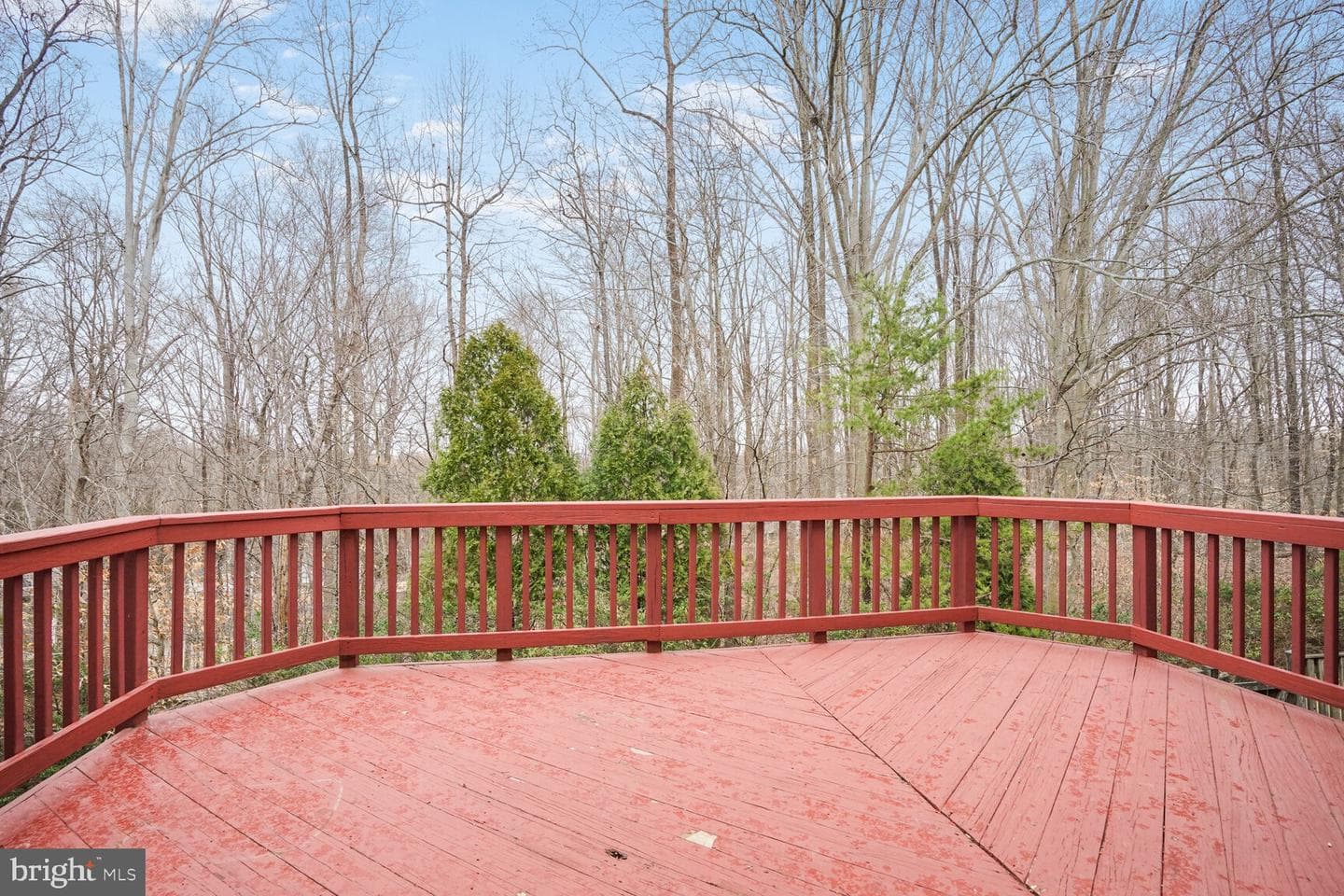 4445 Torrence Place photo 24