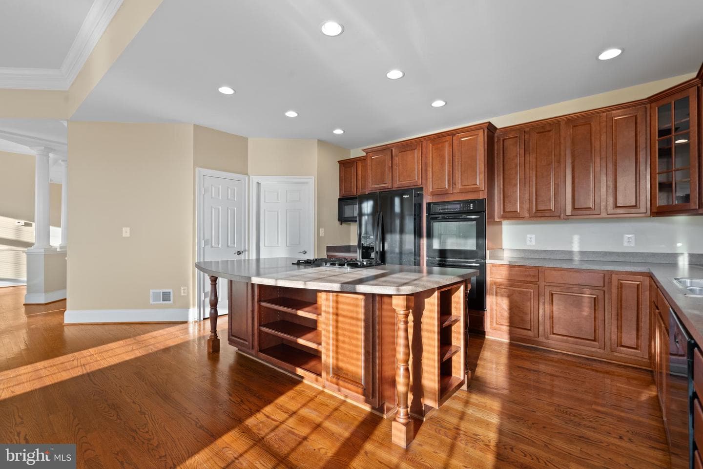 14410 Broadwinged Drive photo 20
