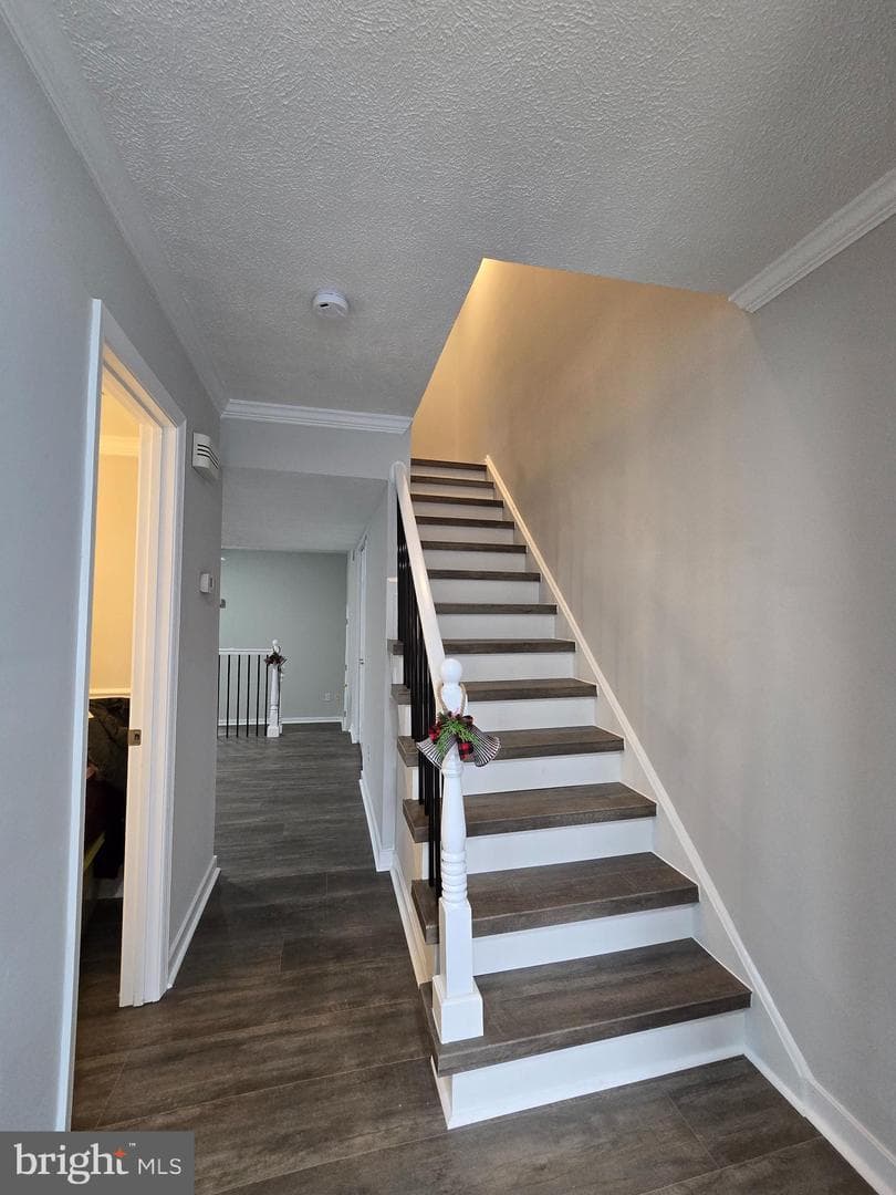 14651 Endsley Turn photo 14
