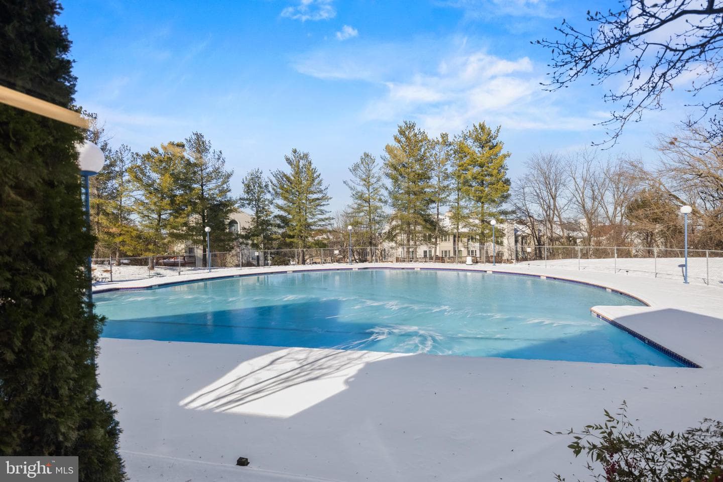 8091 Lacy Drive #303 photo 30