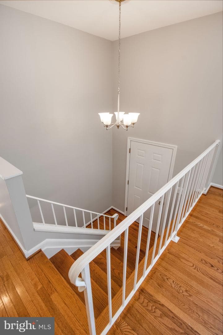 9702 Lomond Drive photo 23