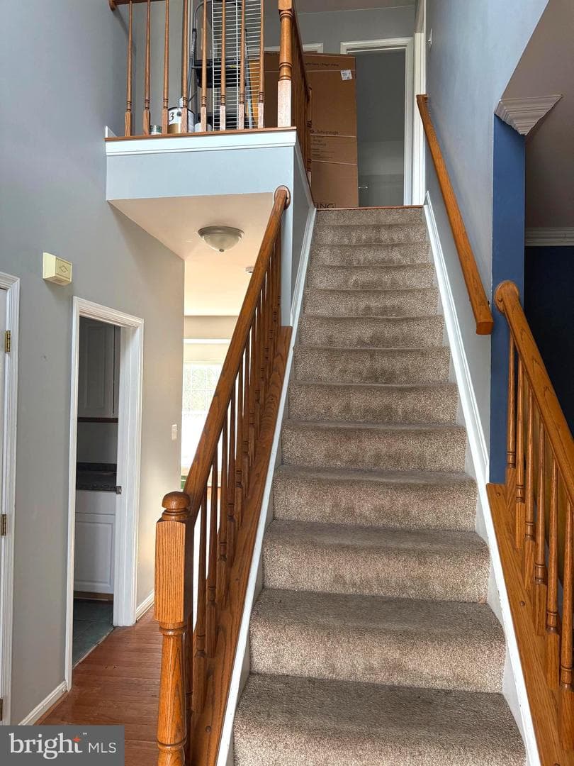 14885 Greenhill Crossing Drive photo 10