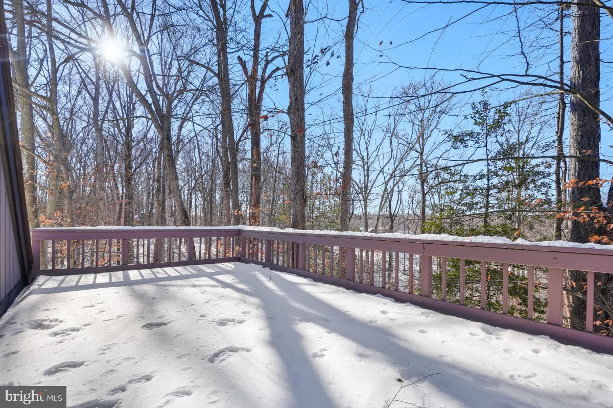 6181 Occoquan Forest Drive photo 4