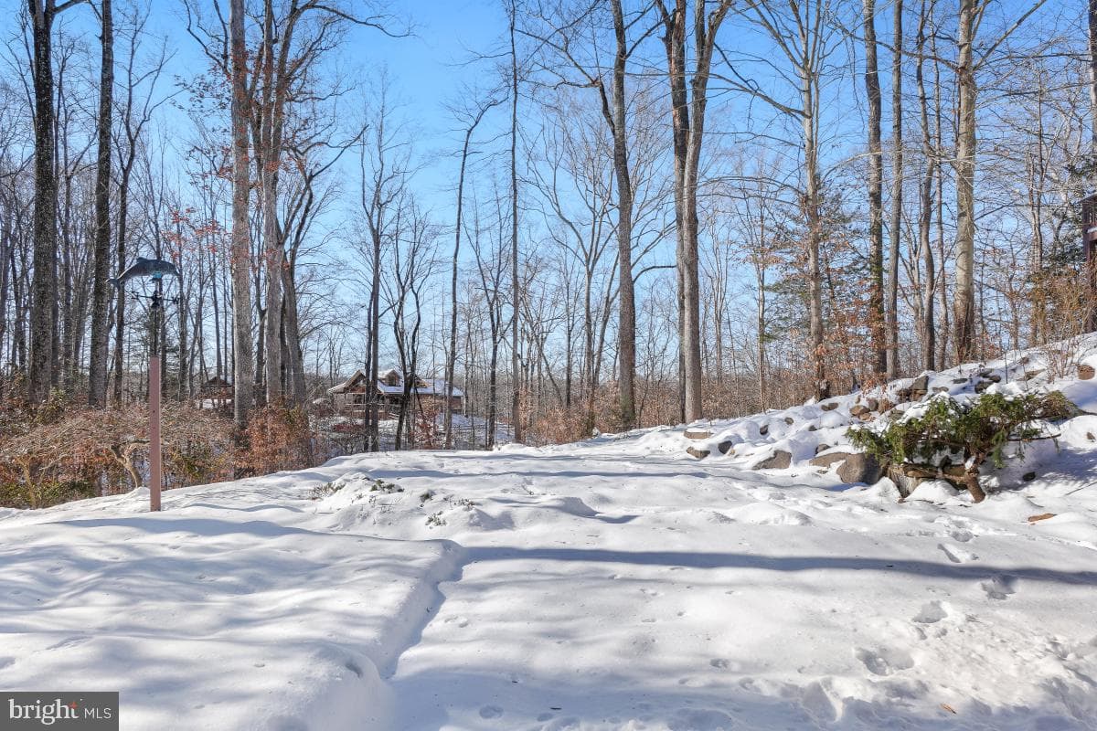 6181 Occoquan Forest Drive photo 48
