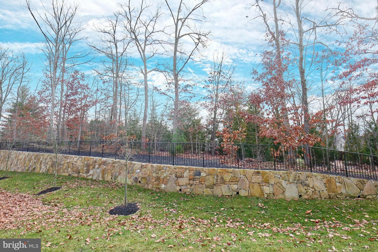 7931 Turtle Creek Circle photo 6